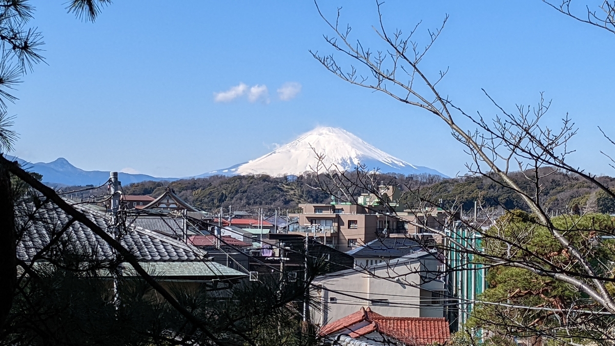 f:id:pandayama:20220224145906j:plain