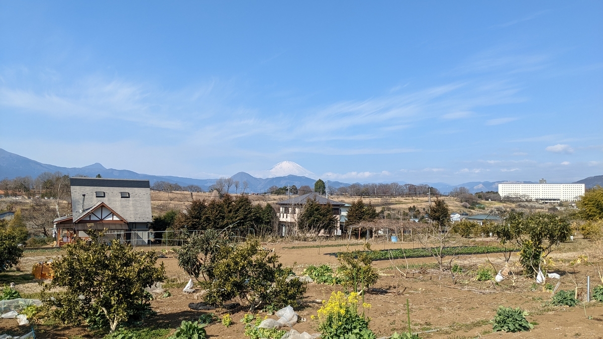 f:id:pandayama:20220309155724j:plain