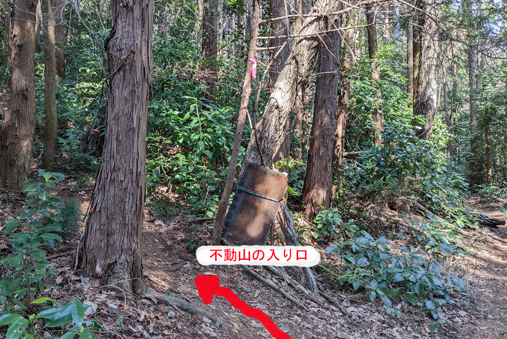 f:id:pandayama:20220309162004j:plain