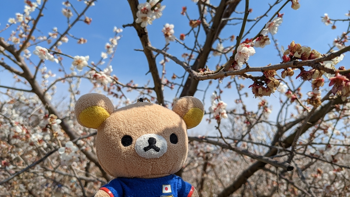 f:id:pandayama:20220309162111j:plain