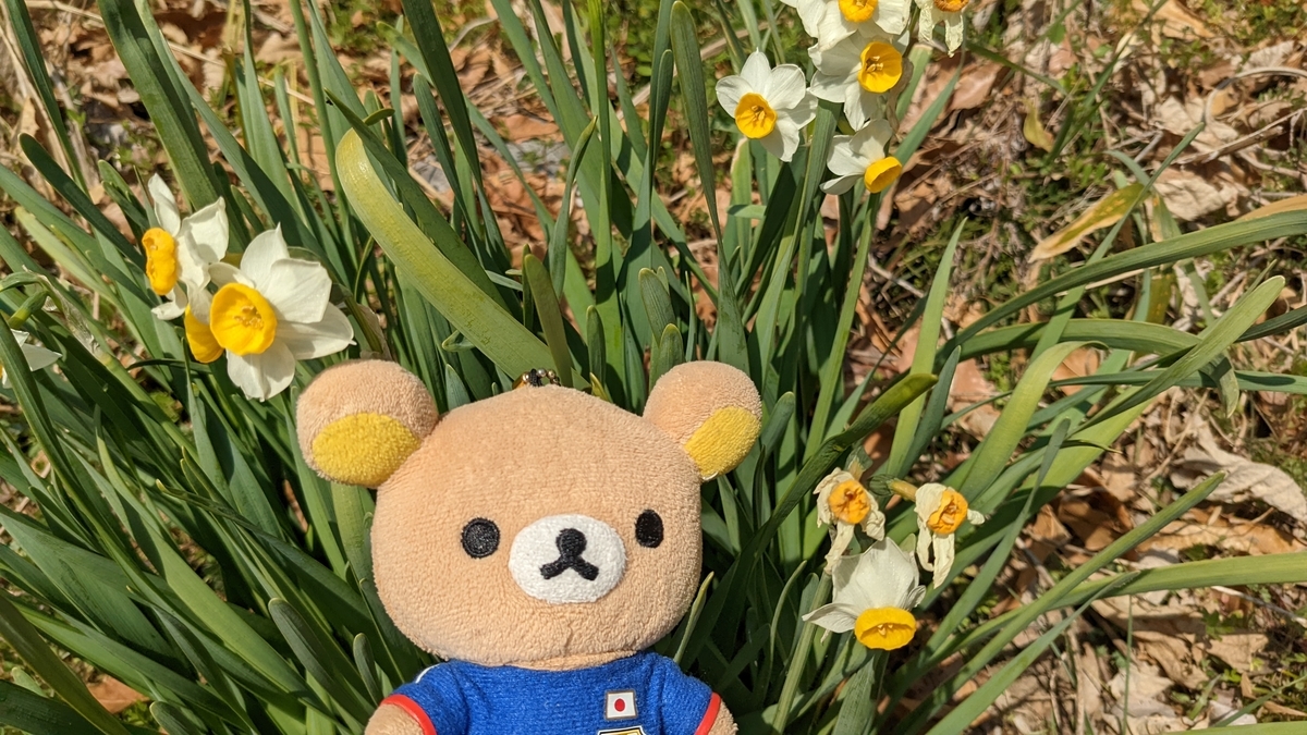 f:id:pandayama:20220309162211j:plain