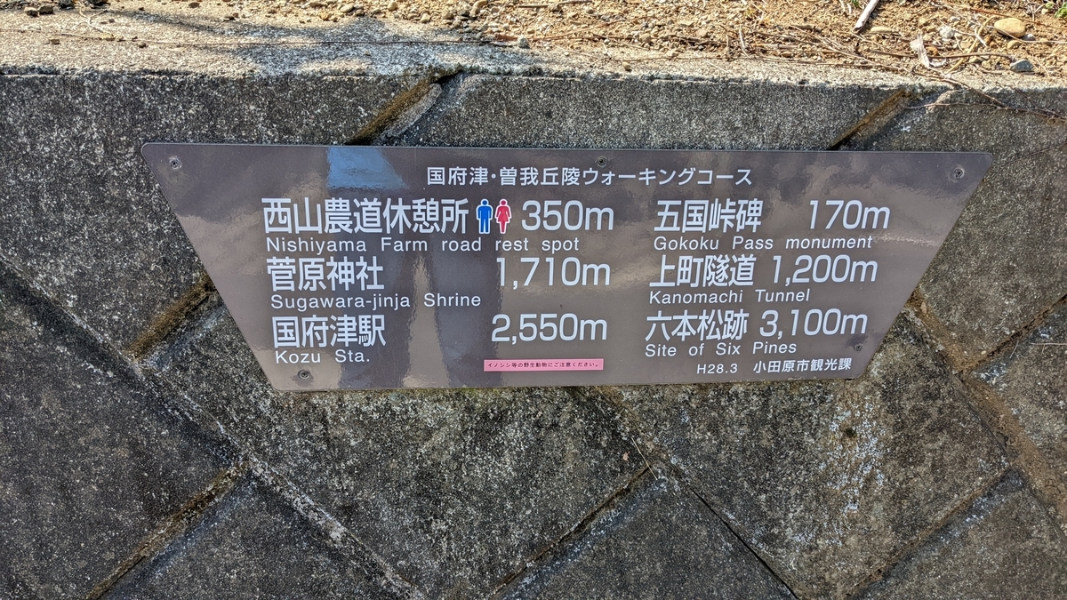 f:id:pandayama:20220309162815j:plain