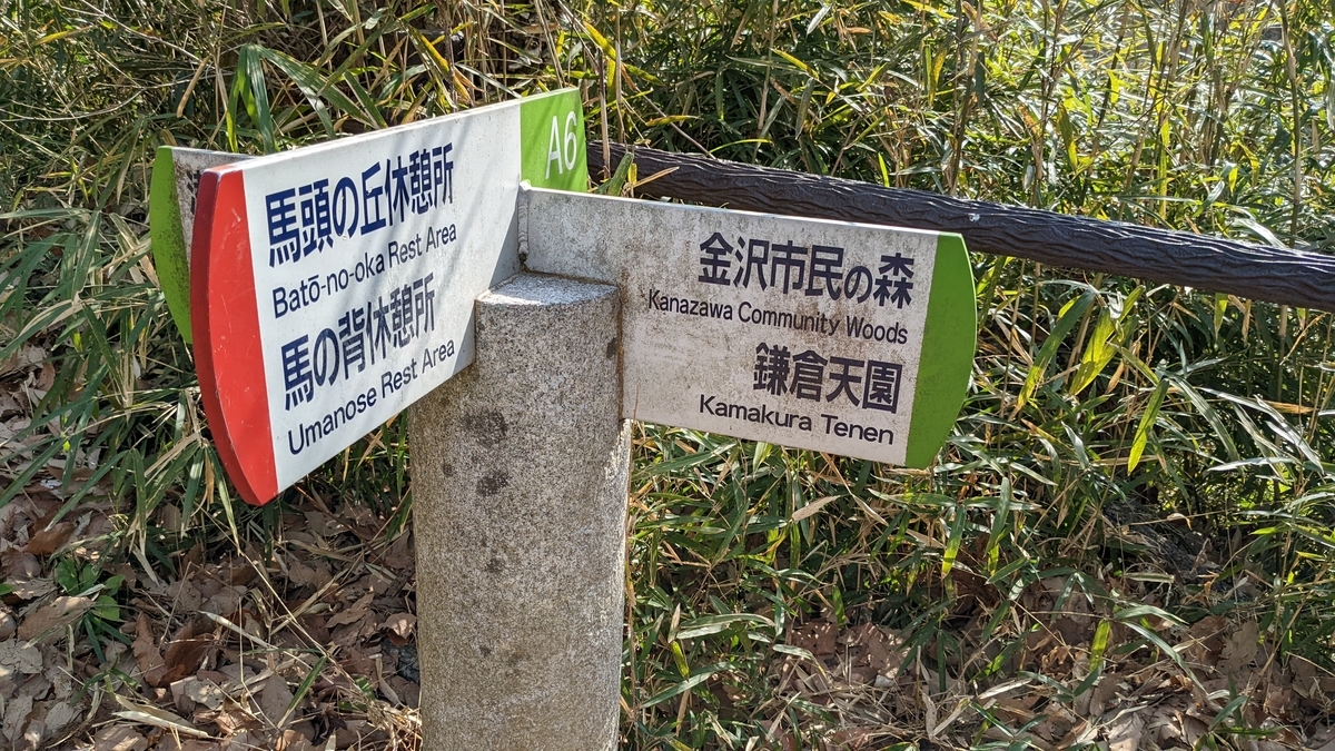 f:id:pandayama:20220310161503j:plain