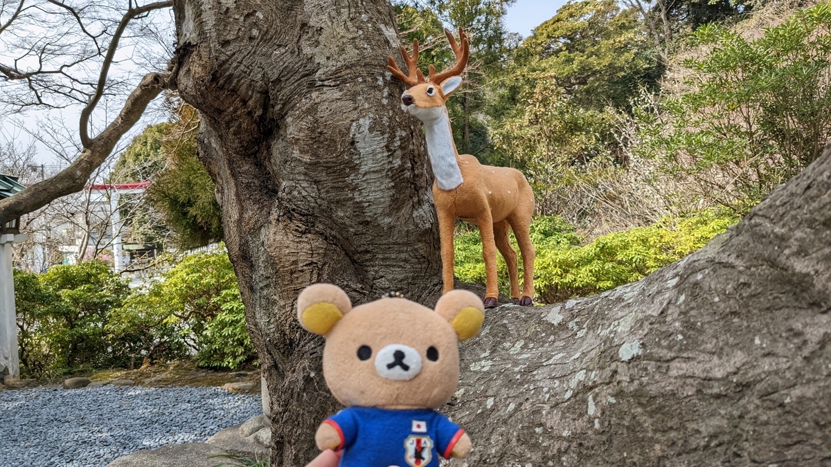 f:id:pandayama:20220310161655j:plain