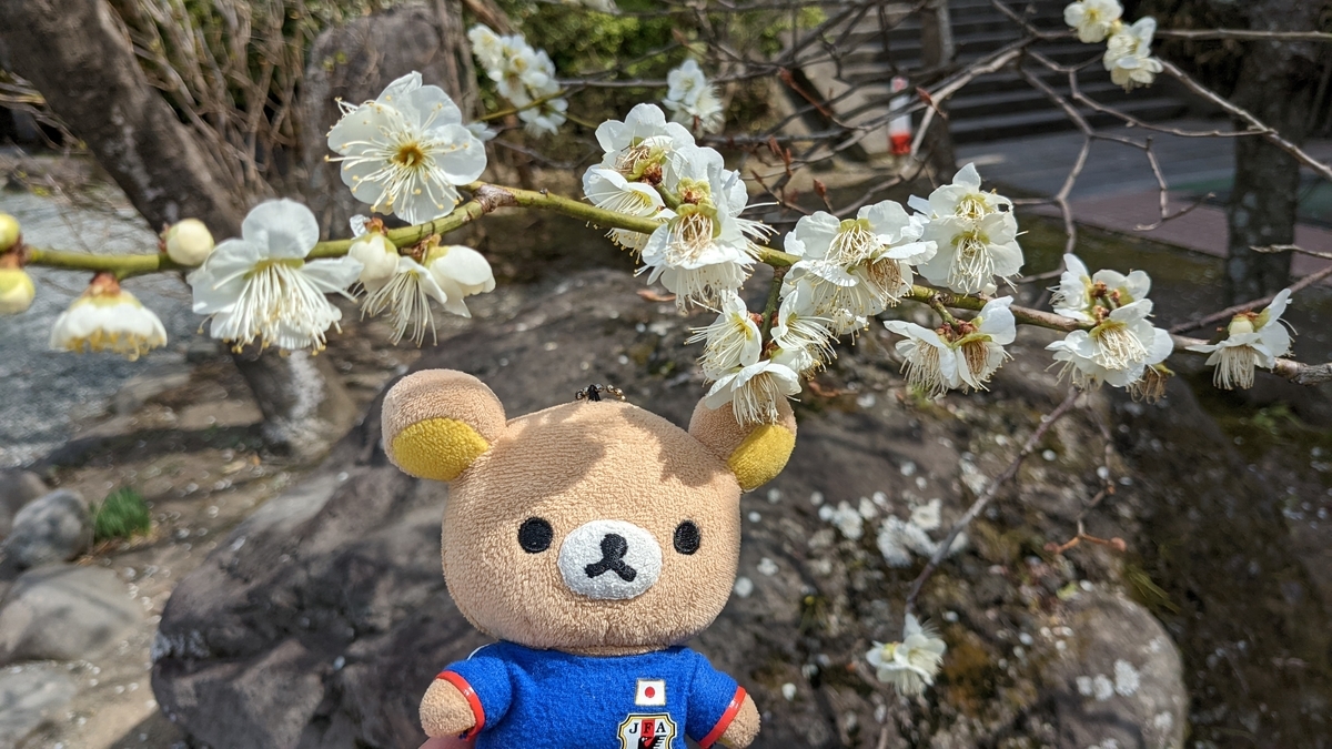 f:id:pandayama:20220310161704j:plain