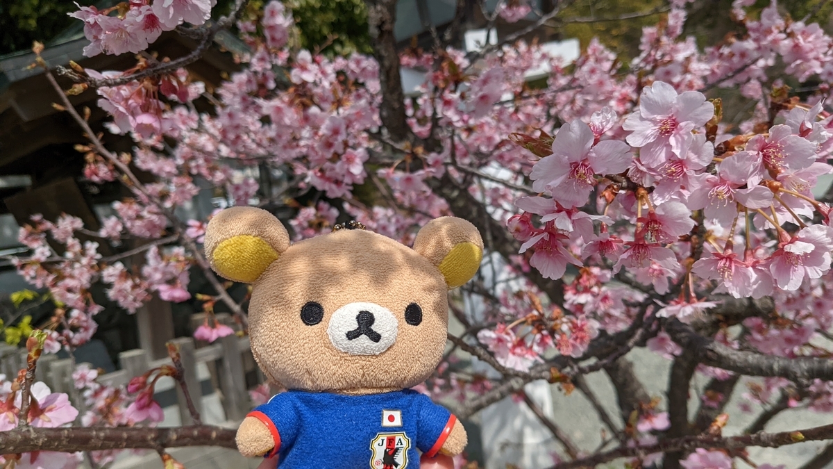 f:id:pandayama:20220310161710j:plain