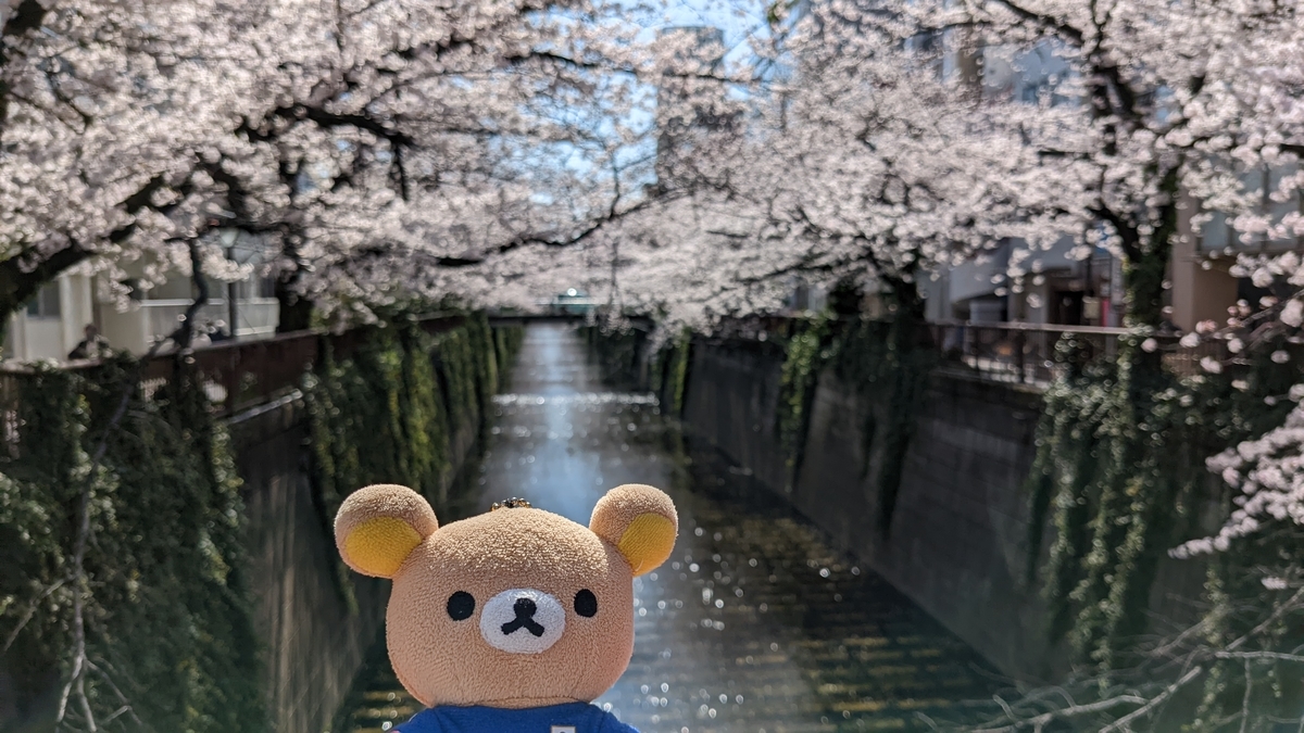 f:id:pandayama:20220401073615j:plain