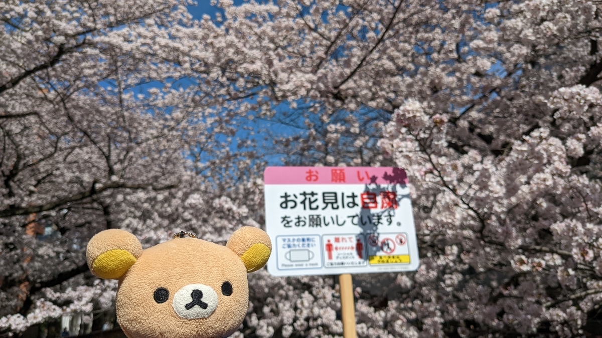 f:id:pandayama:20220401074454j:plain