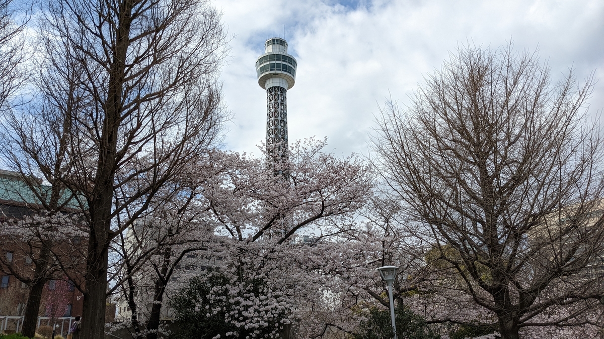 f:id:pandayama:20220401074623j:plain