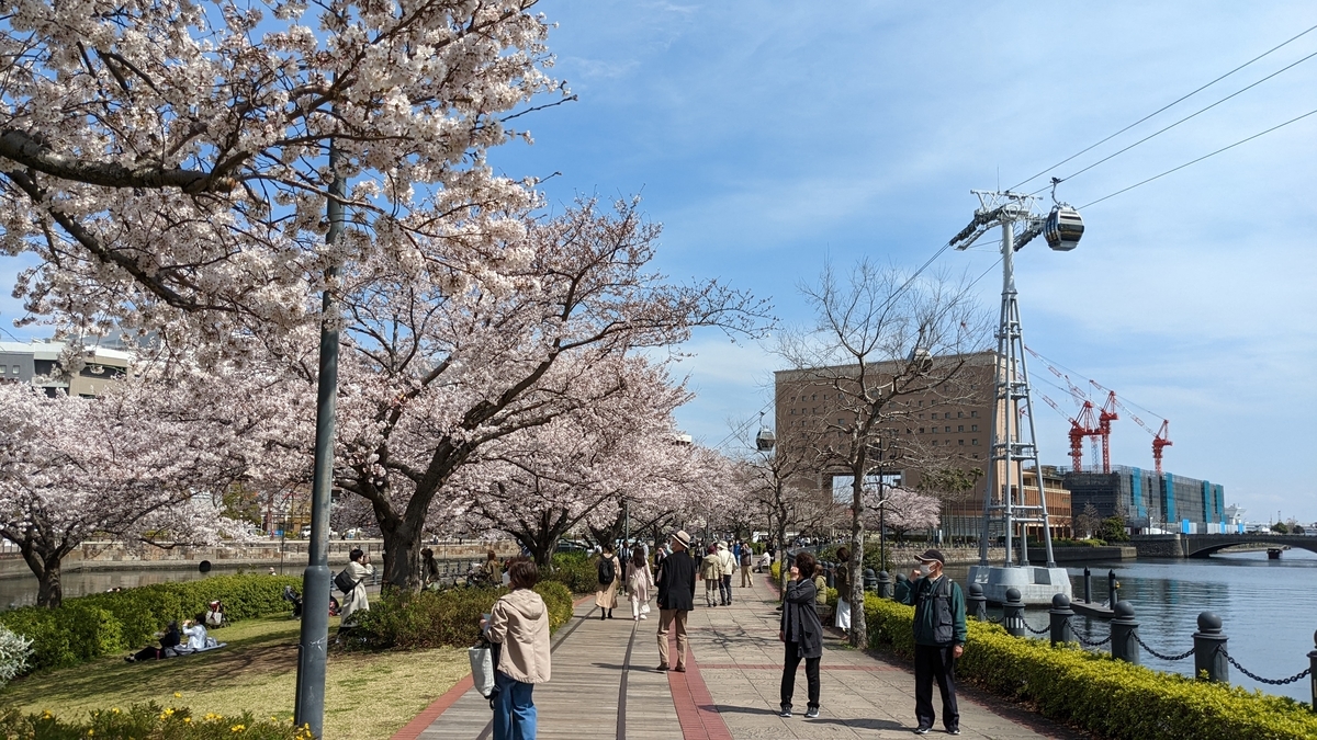 f:id:pandayama:20220401074756j:plain