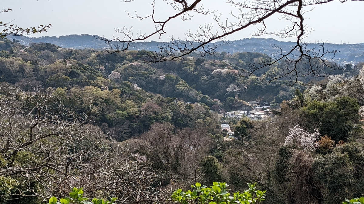 f:id:pandayama:20220401075835j:plain