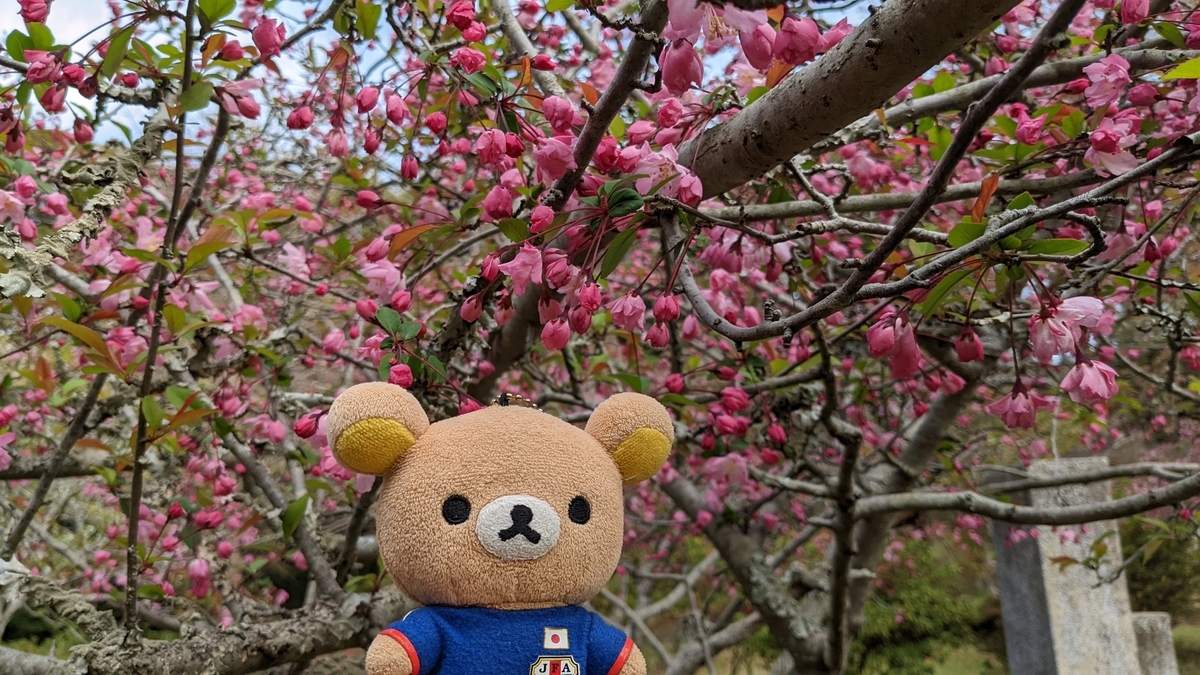 f:id:pandayama:20220401080257j:plain