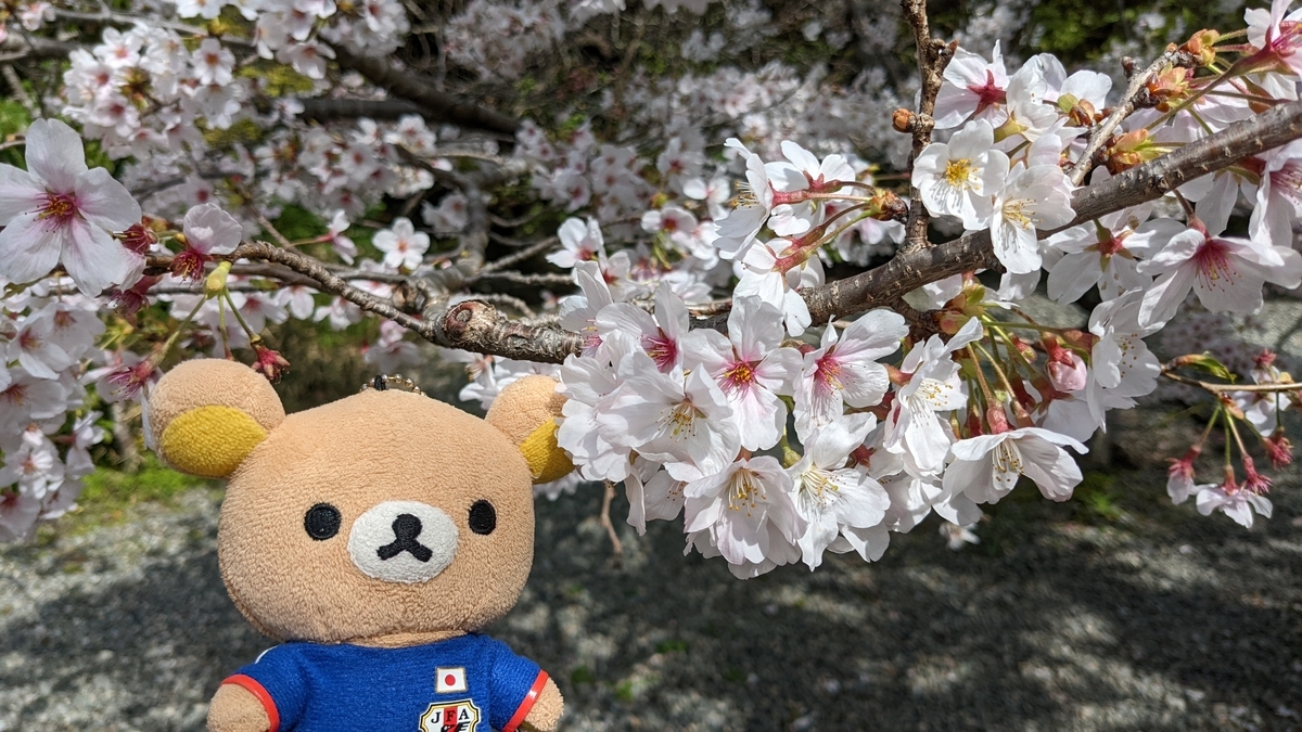 f:id:pandayama:20220401080335j:plain
