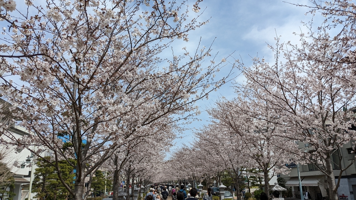 f:id:pandayama:20220401080420j:plain