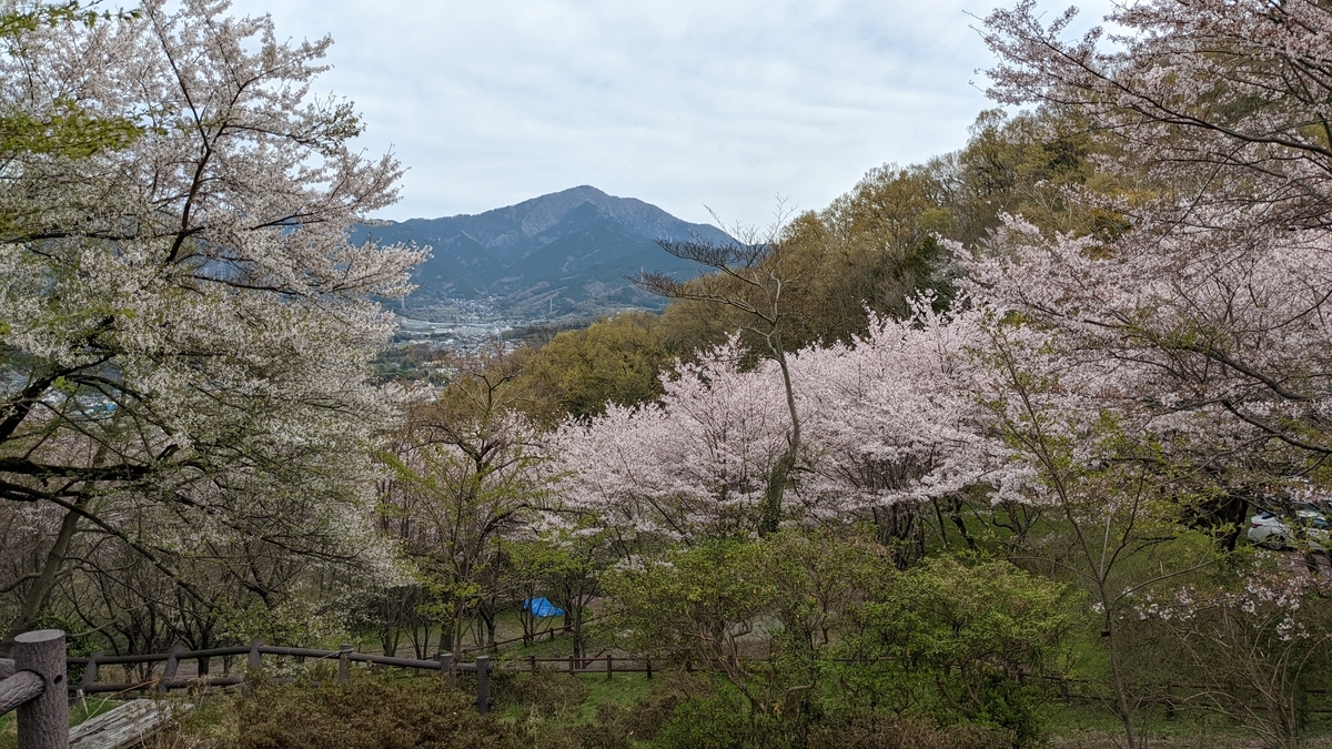 f:id:pandayama:20220406173657j:plain