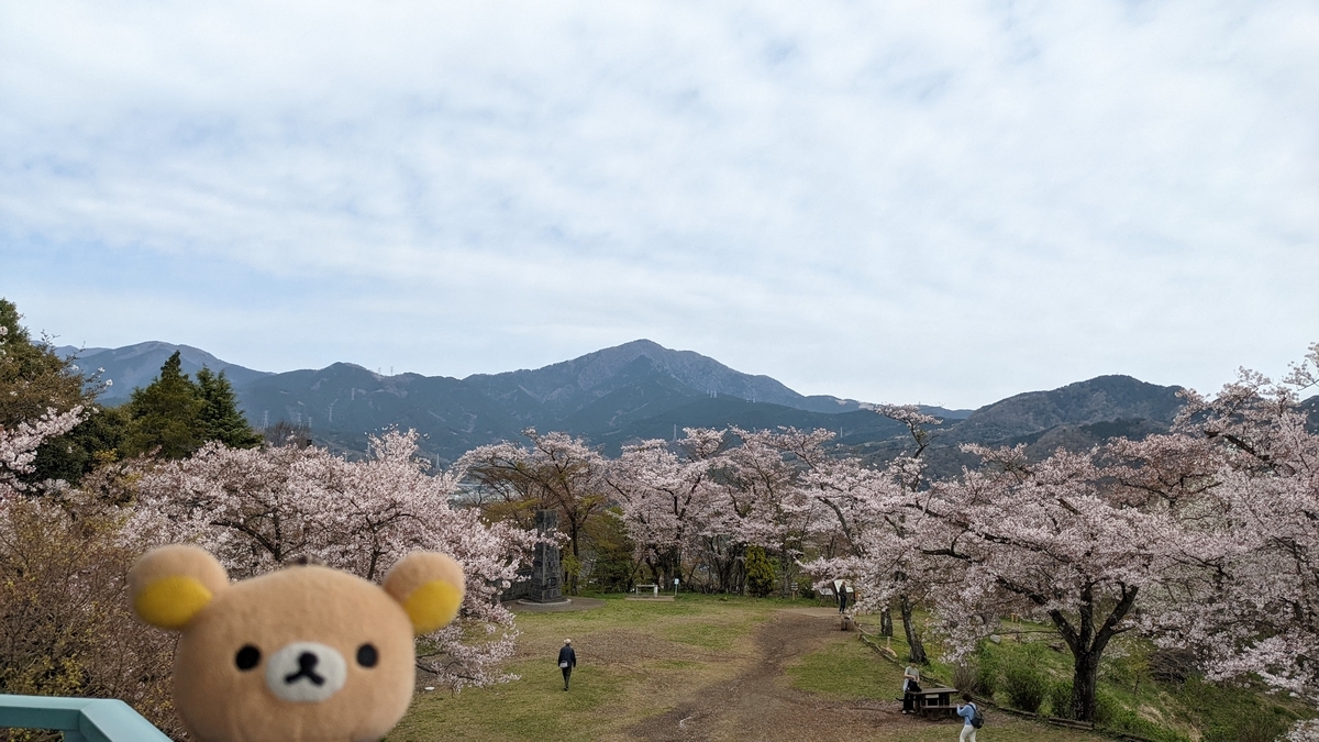 f:id:pandayama:20220406173715j:plain