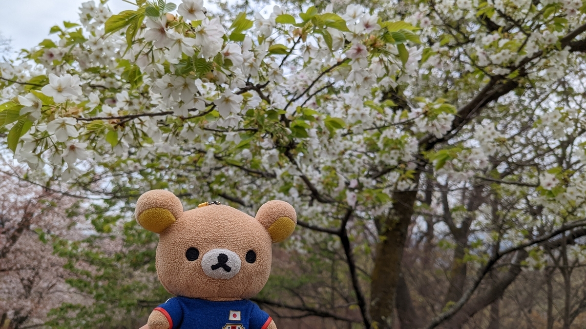 f:id:pandayama:20220406173731j:plain