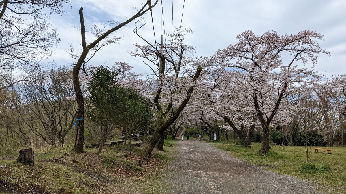 f:id:pandayama:20220406173740j:plain