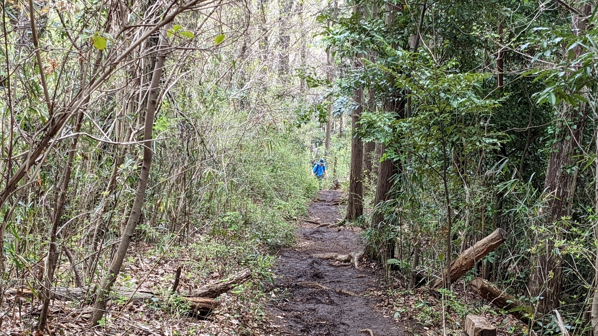 f:id:pandayama:20220406173826j:plain