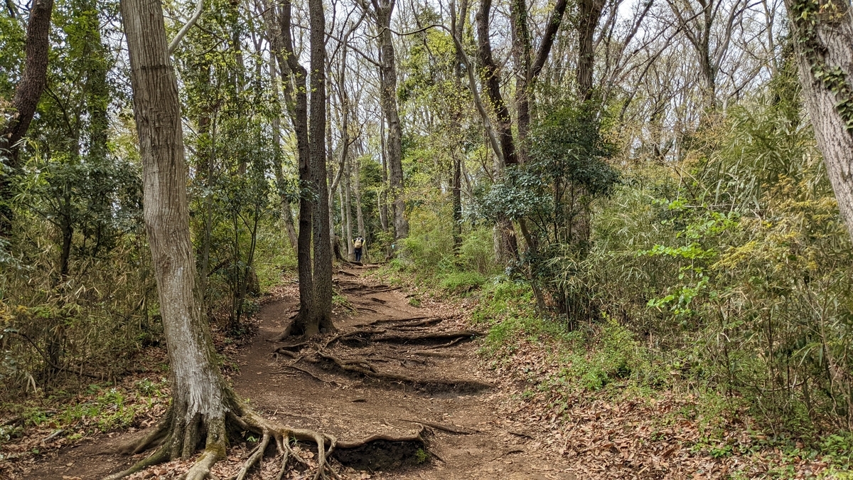 f:id:pandayama:20220406173836j:plain