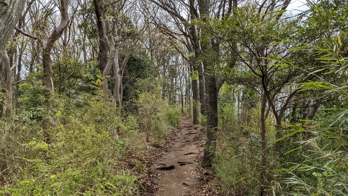 f:id:pandayama:20220406173849j:plain