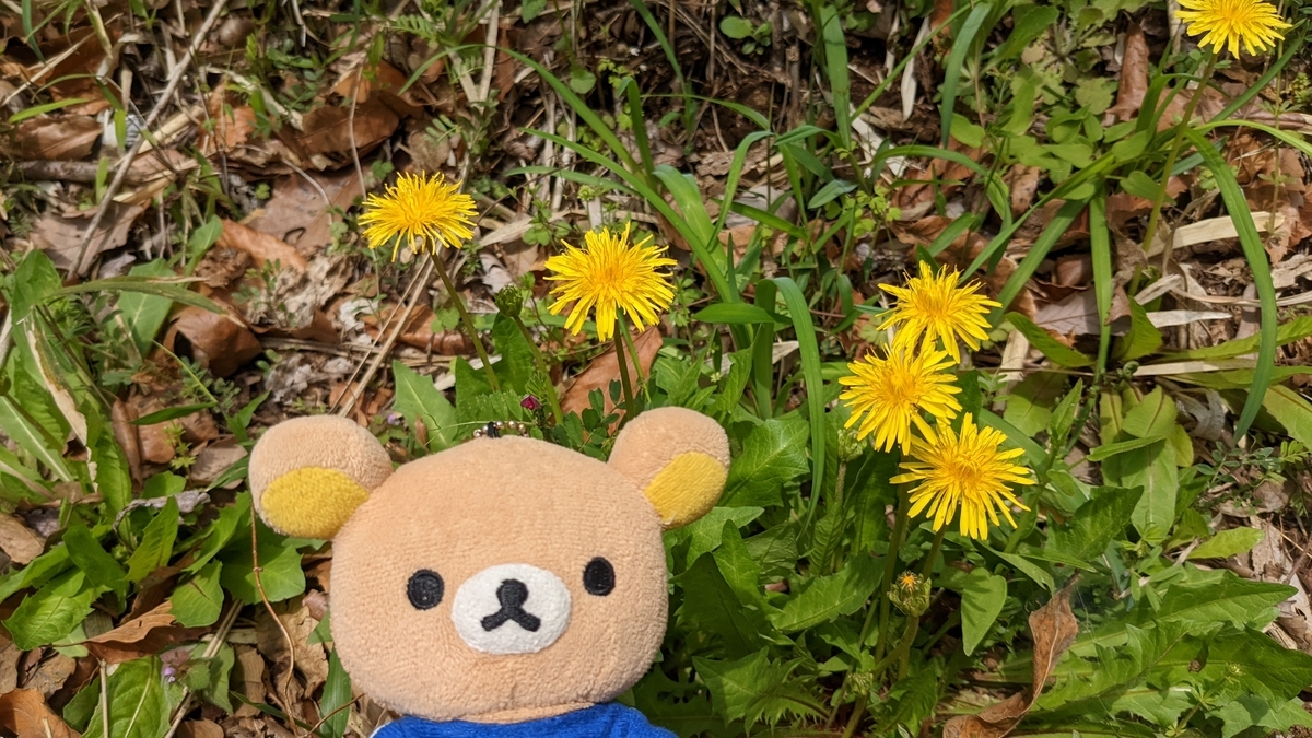 f:id:pandayama:20220406173905j:plain