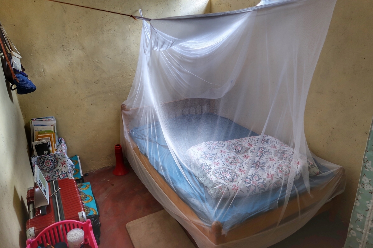 f:id:pandoralover:20191015181748j:plain f:id:pandoralover:20191015181748j:plain