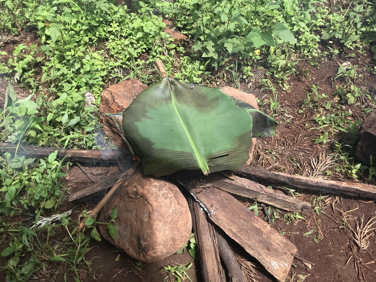 f:id:pandoralover:20191215032203j:plain f:id:pandoralover:20191215032203j:plain