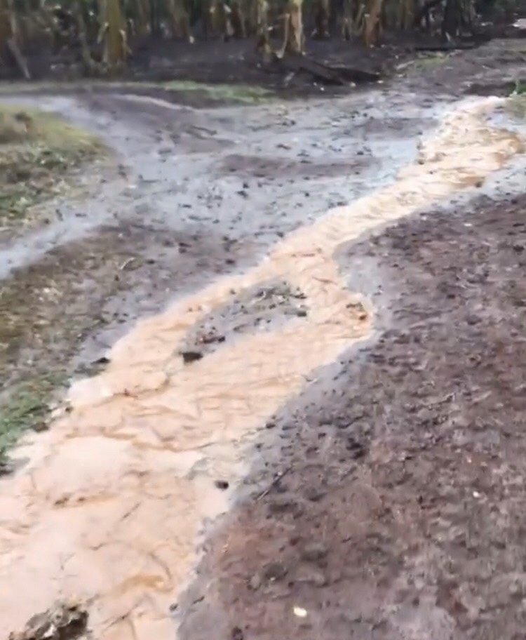 f:id:pandoralover:20191217221441j:plain