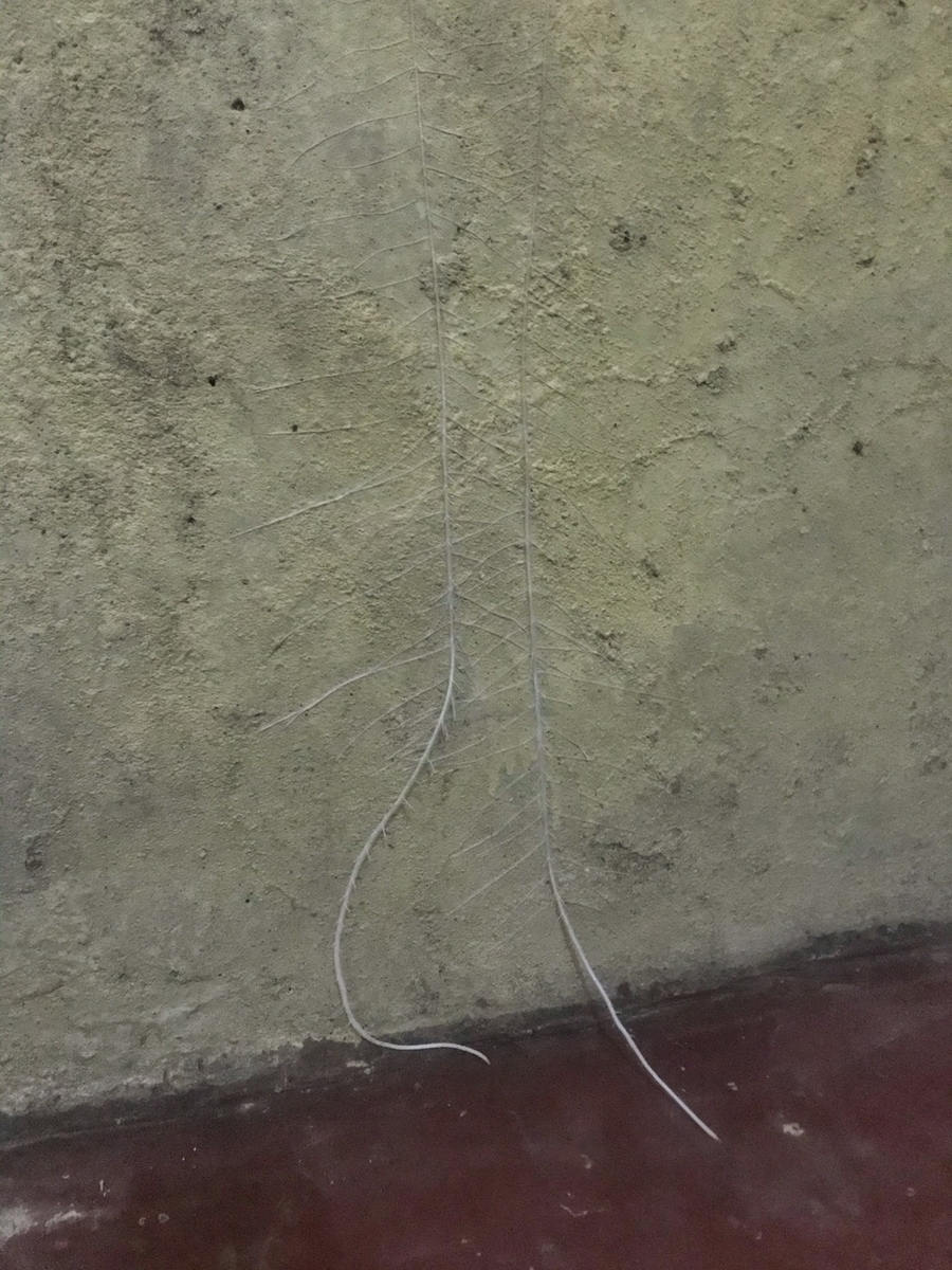 f:id:pandoralover:20191217223123j:plain