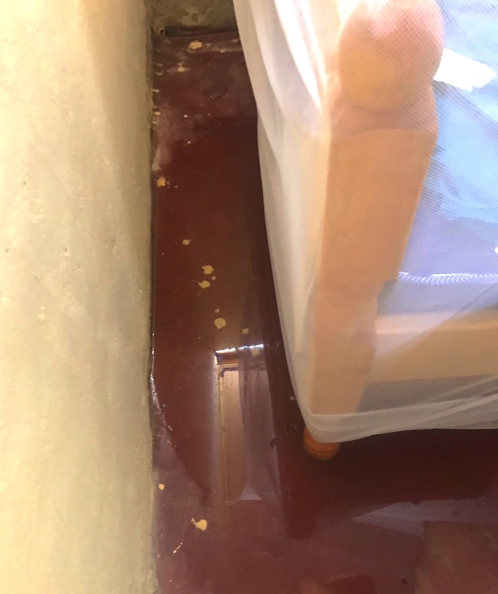 f:id:pandoralover:20191217223510j:plain