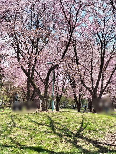 f:id:panko1968:20250505221802j:image