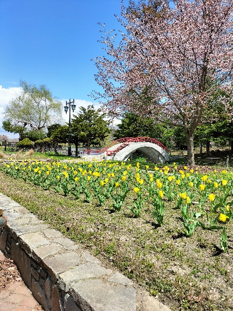 f:id:panko1968:20250505225345j:image f:id:panko1968:20250505225345j:image