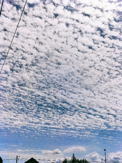 f:id:panko1968:20250906191941j:image