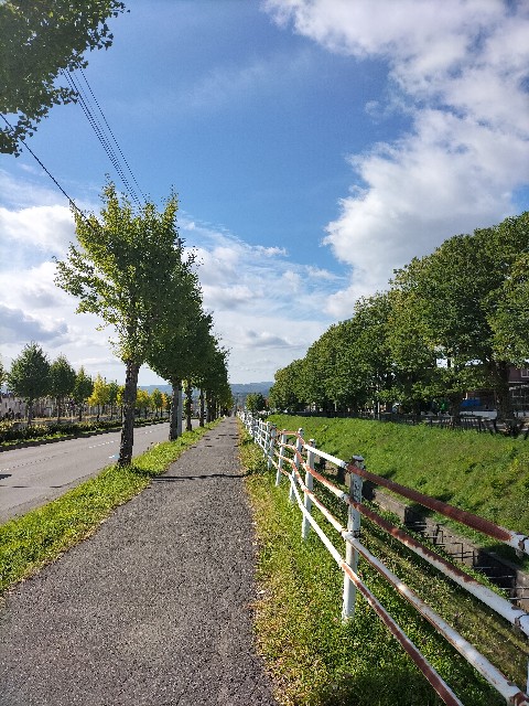 f:id:panko1968:20251112181439j:image