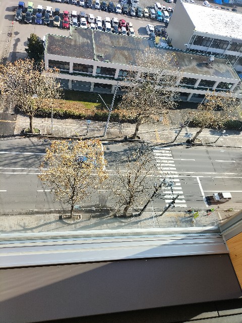 f:id:panko1968:20251117131016j:image