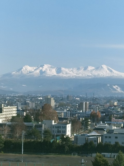 f:id:panko1968:20251117141114j:image
