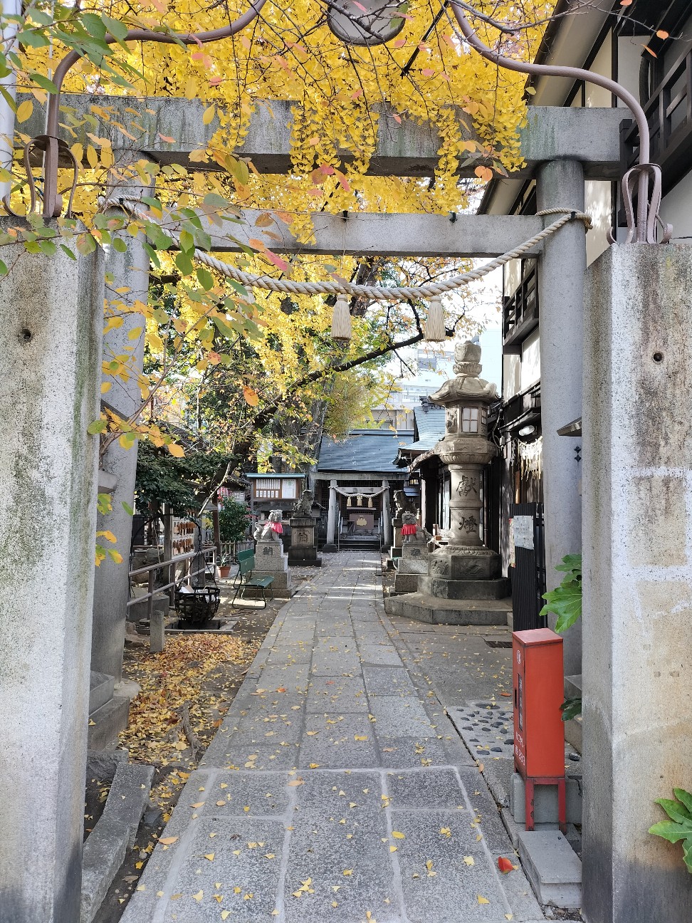 f:id:panko1968:20251205125901j:image