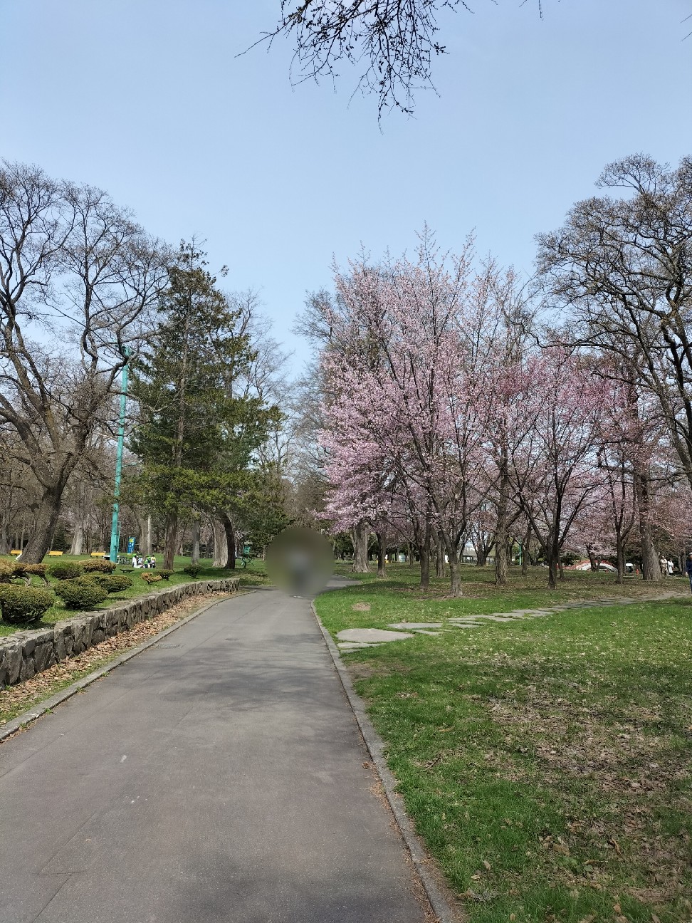 f:id:panko1968:20260428130056j:image