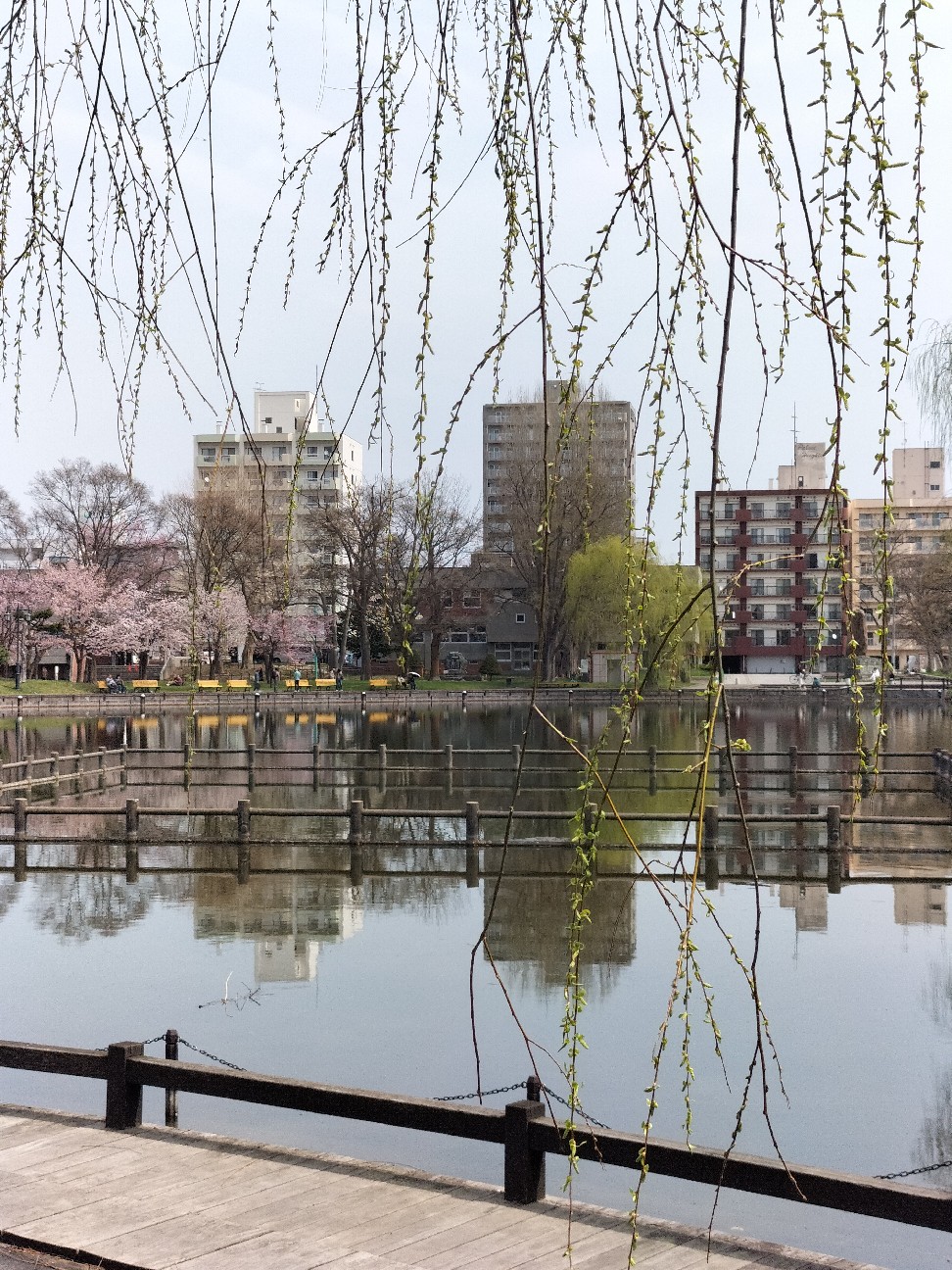 f:id:panko1968:20260428130130j:image