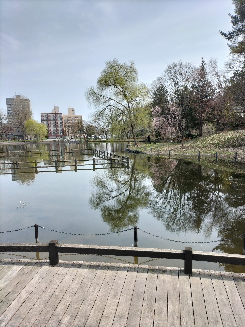 f:id:panko1968:20260428130131j:image