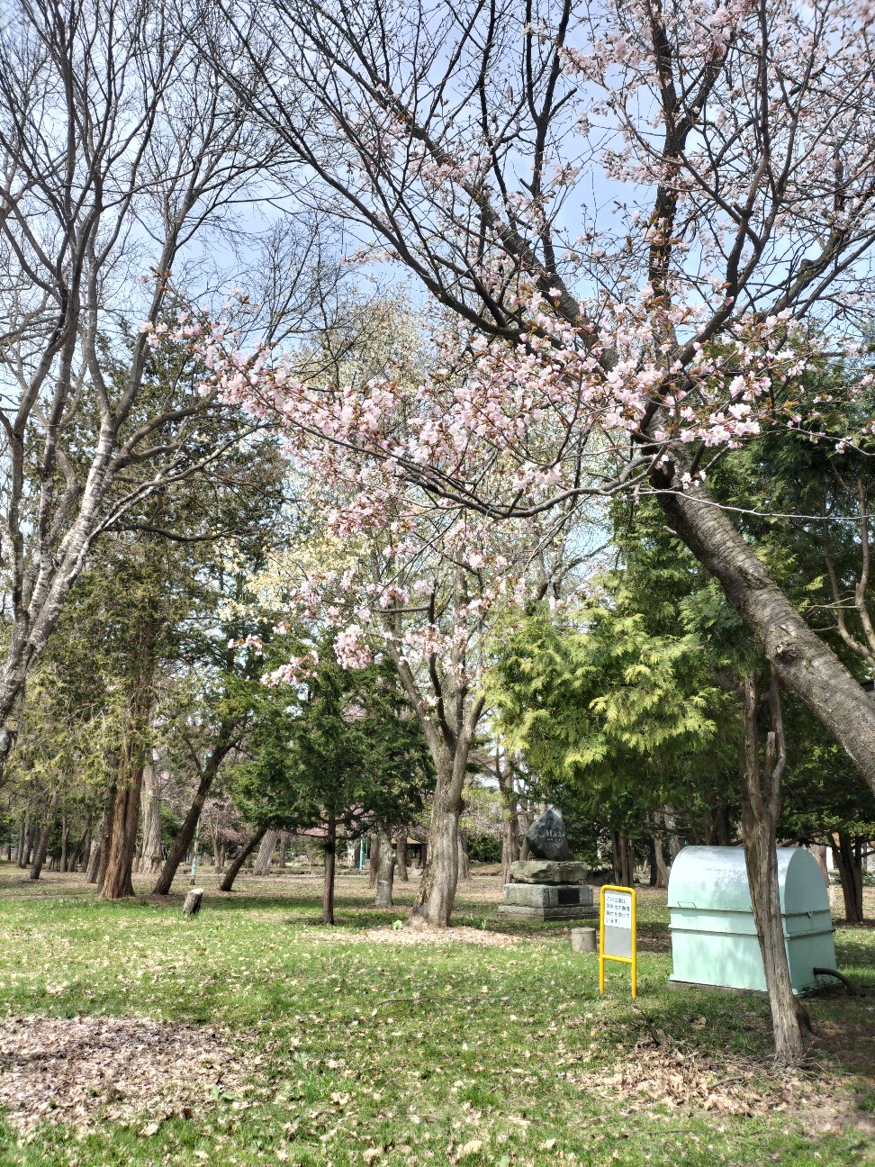 f:id:panko1968:20260428130137j:image