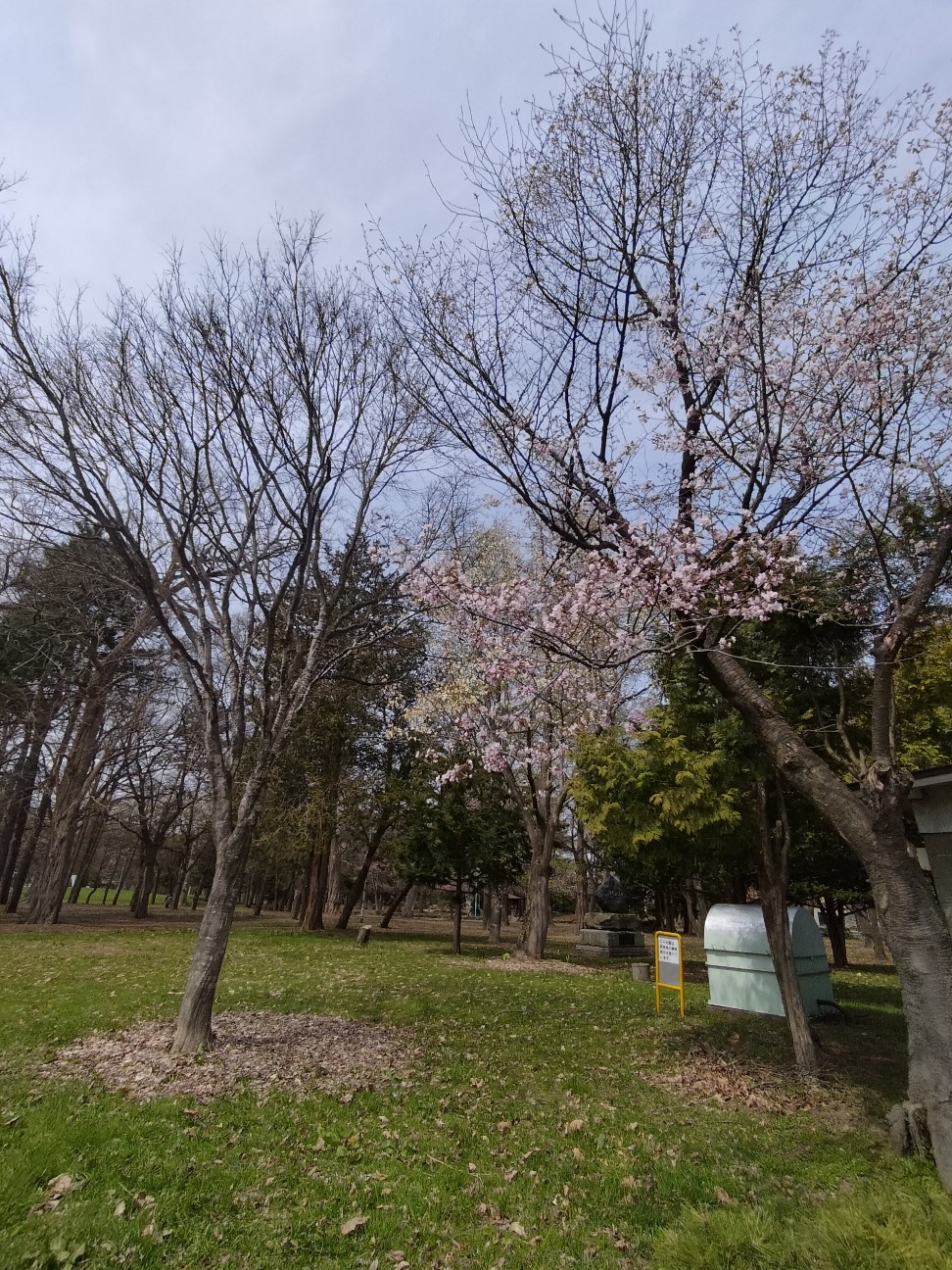 f:id:panko1968:20260428130139j:image