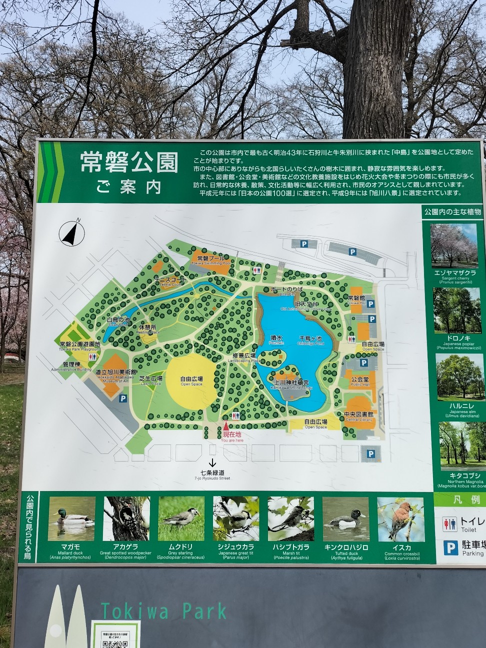 f:id:panko1968:20260428161340j:image