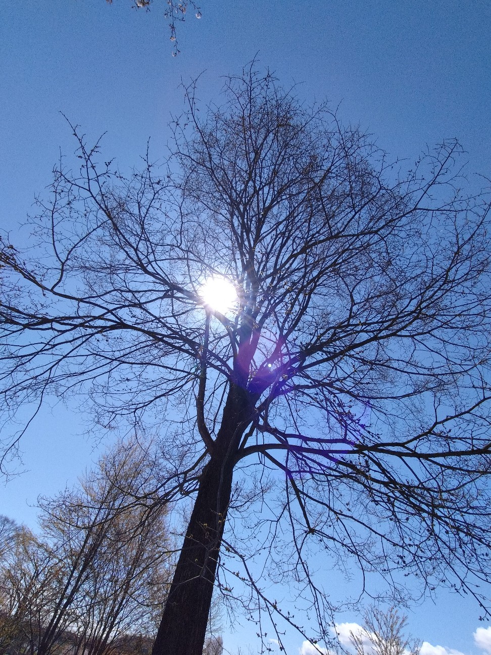f:id:panko1968:20260430144112j:image