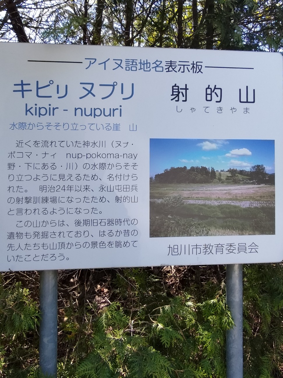 f:id:panko1968:20260510204203j:image