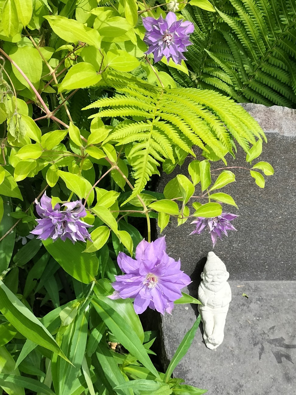 f:id:panko1968:20260606213421j:image