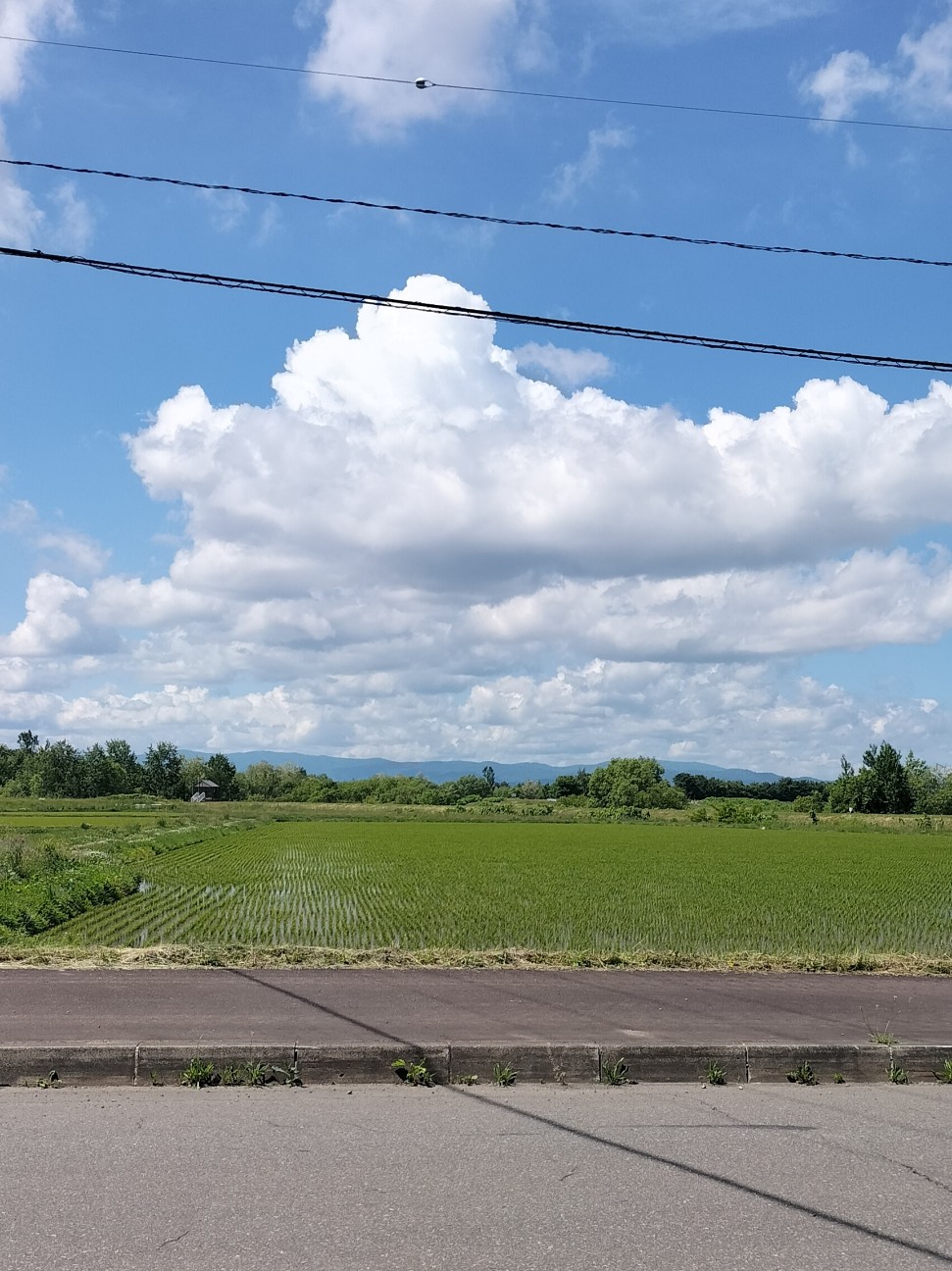 f:id:panko1968:20260614074923j:image