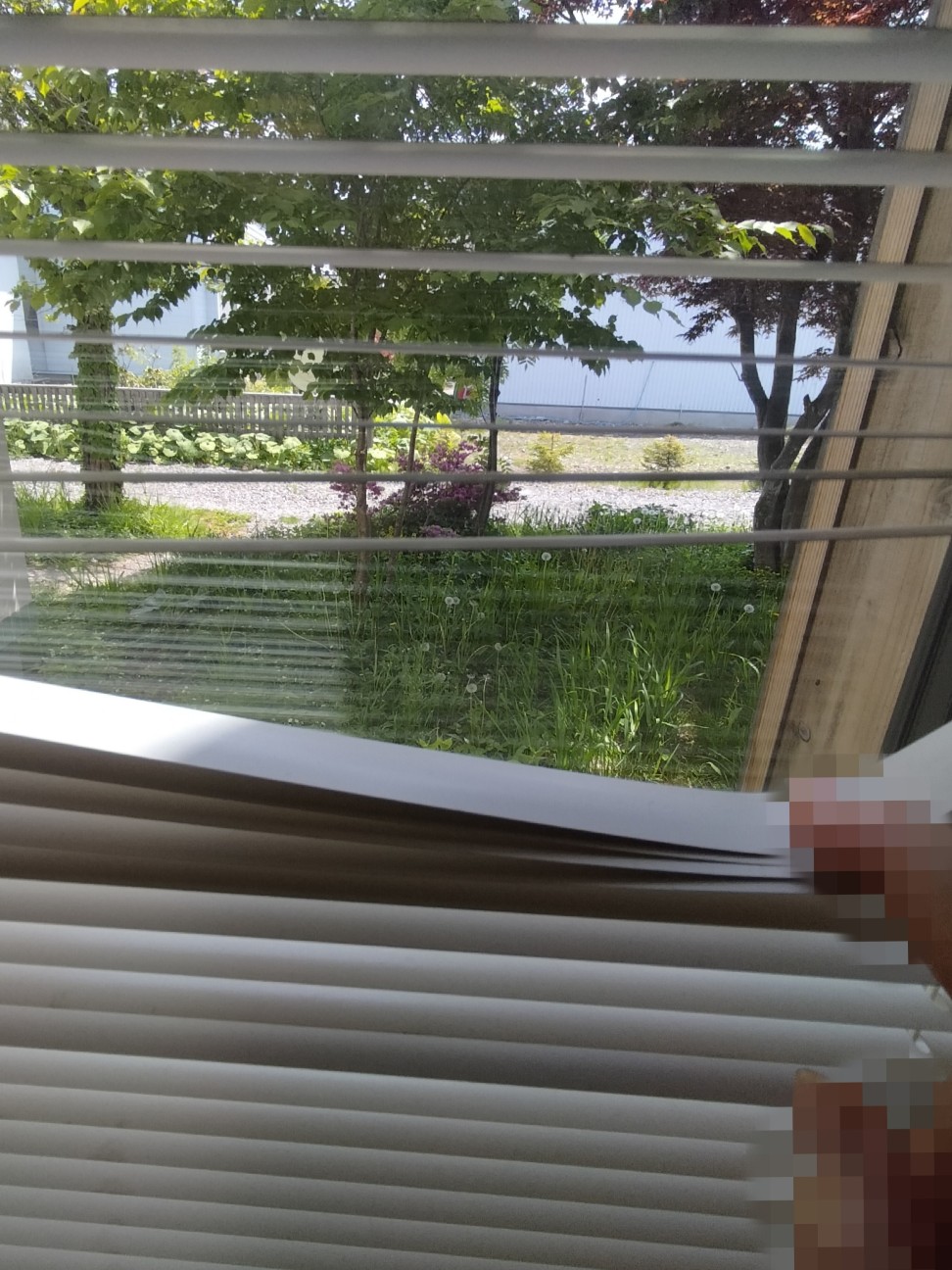 f:id:panko1968:20260614141748j:image
