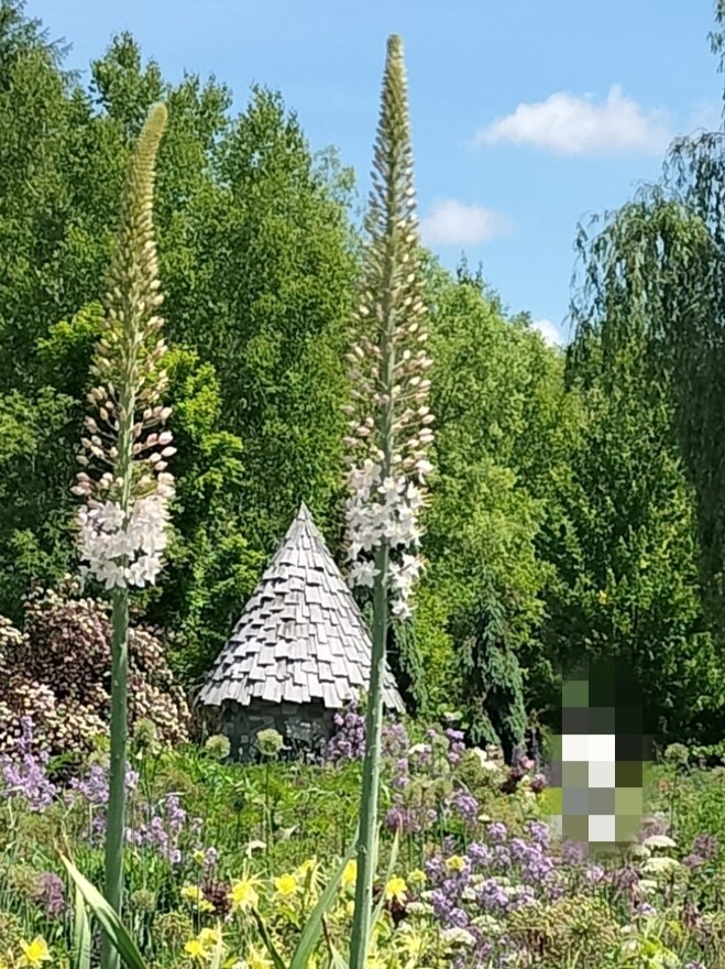 f:id:panko1968:20260614213229j:image